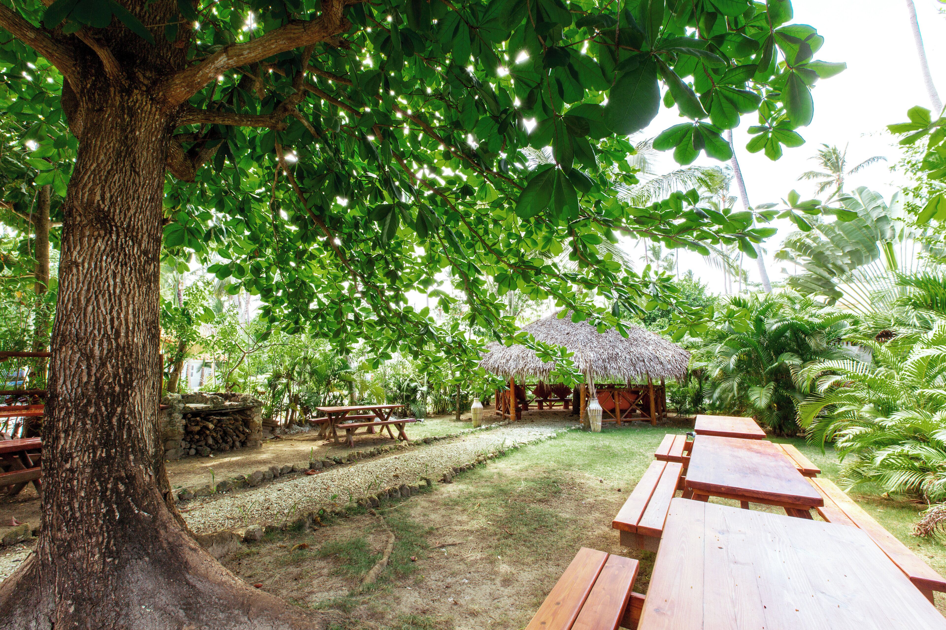 A tree-lined outdoor area with picnic tables and a thatched-roof structure.