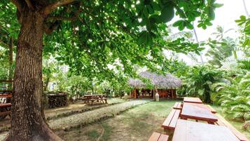 A tree-lined outdoor area with picnic tables and a thatched-roof structure.