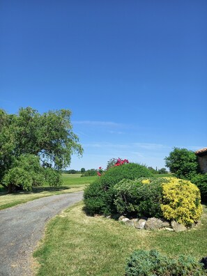 Property grounds - Quiet, unoverlooked country house with private saltwater pool (Lacaussade)