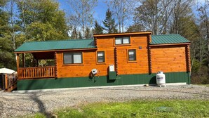 A log cabin with a porch, a green roof, and a small attached structure.