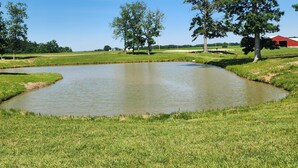 A pond surrounded by grass and trees, with a clear blue sky above. - BEAUTIFUL LAKE SHELBYVILLE CAMPING SITE ALONG SIDE STOCKED FISHING PONDS SITE #2 (Lakewood)
