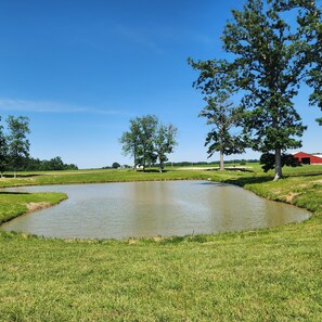 Property grounds - BEAUTIFUL LAKE SHELBYVILLE CAMPING SITE ALONG SIDE STOCKED FISHING PONDS SITE #2 (Lakewood)