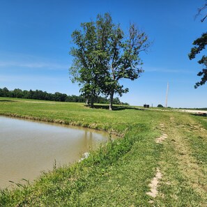 A rural landscape with a pond, grassy field, and a large tree.