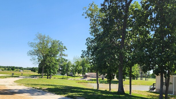 A gravel path leading to a grassy area with trees and a clear blue sky. - BEAUTIFUL LAKE SHELBYVILLE CAMPING SITE ALONG SIDE STOCKED FISHING PONDS SITE #2 (Lakewood)