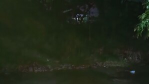 Um banco de pedra junto a um lago, com um caminho de pedra que o leva até ele.
