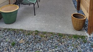 A patio with two green chairs, a concrete floor, and a wooden fence. - Tranquility Creek Studio, newly built and modern (Ucluelet)