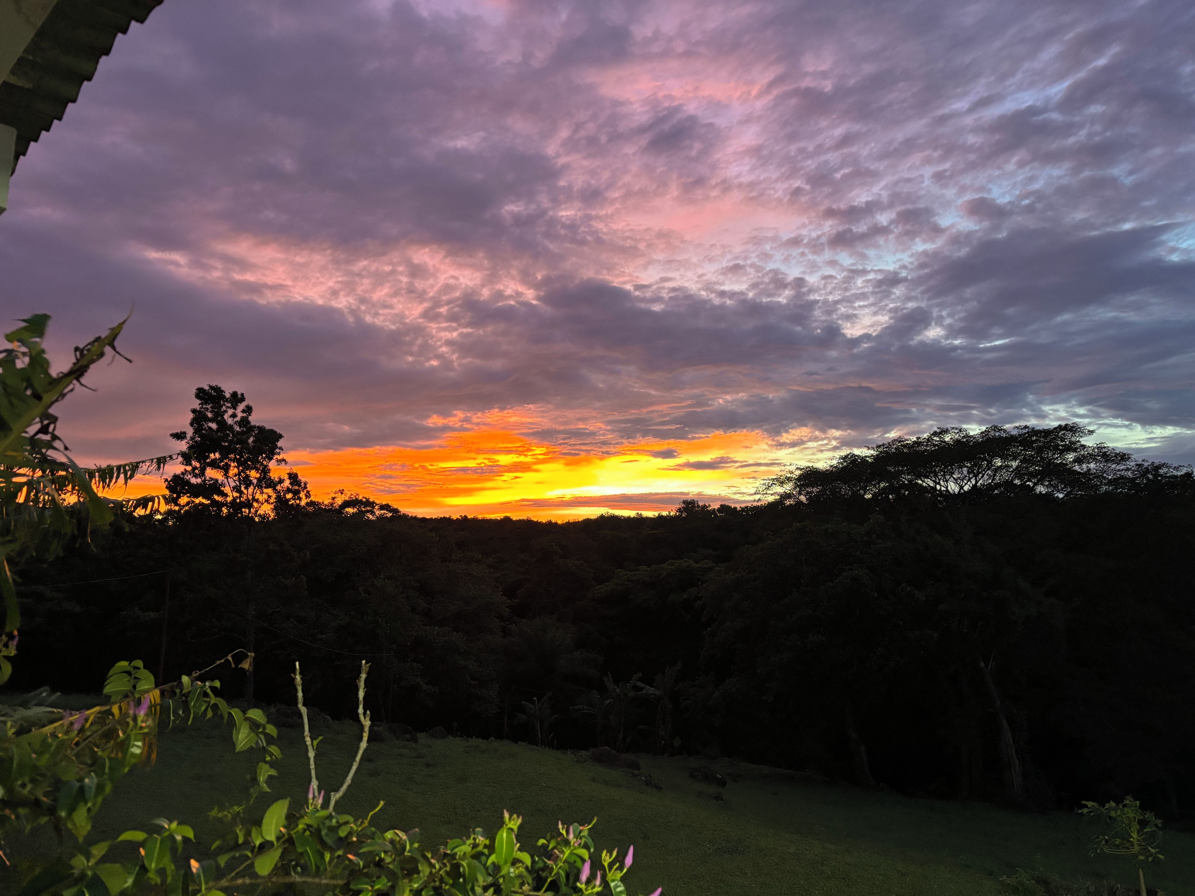 A sunset over a forested landscape with a clear sky.