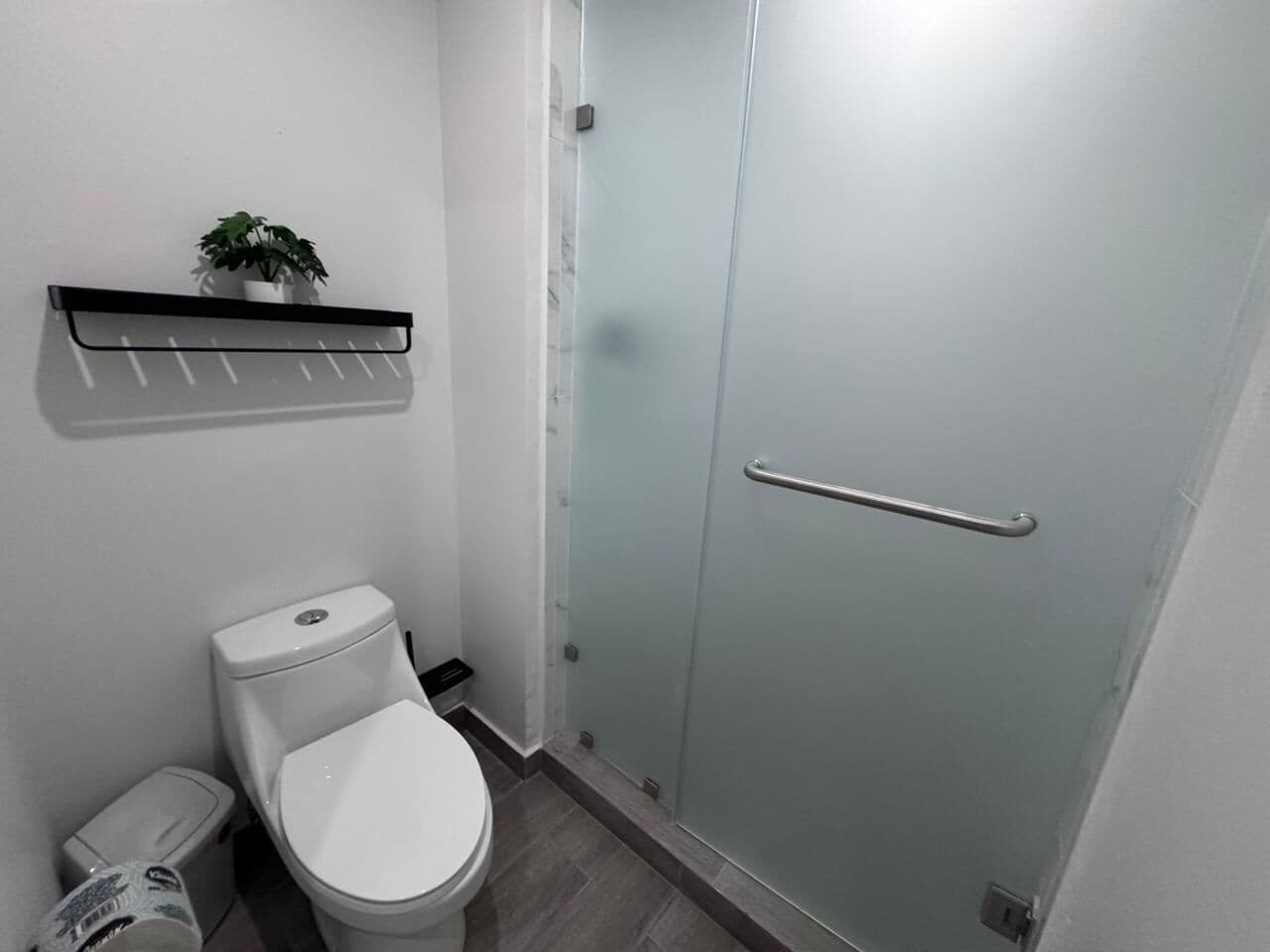 A bathroom with a toilet, a shower with a glass door, a shelf with a plant, and a trash bin.
