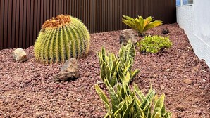 A rooftop garden with cacti and succulents, a wooden fence, and a view of a building with a red roof. - Junior suite double with breakfast - Casa Regina Tenerife with terrace and Pool (Tamaimo)