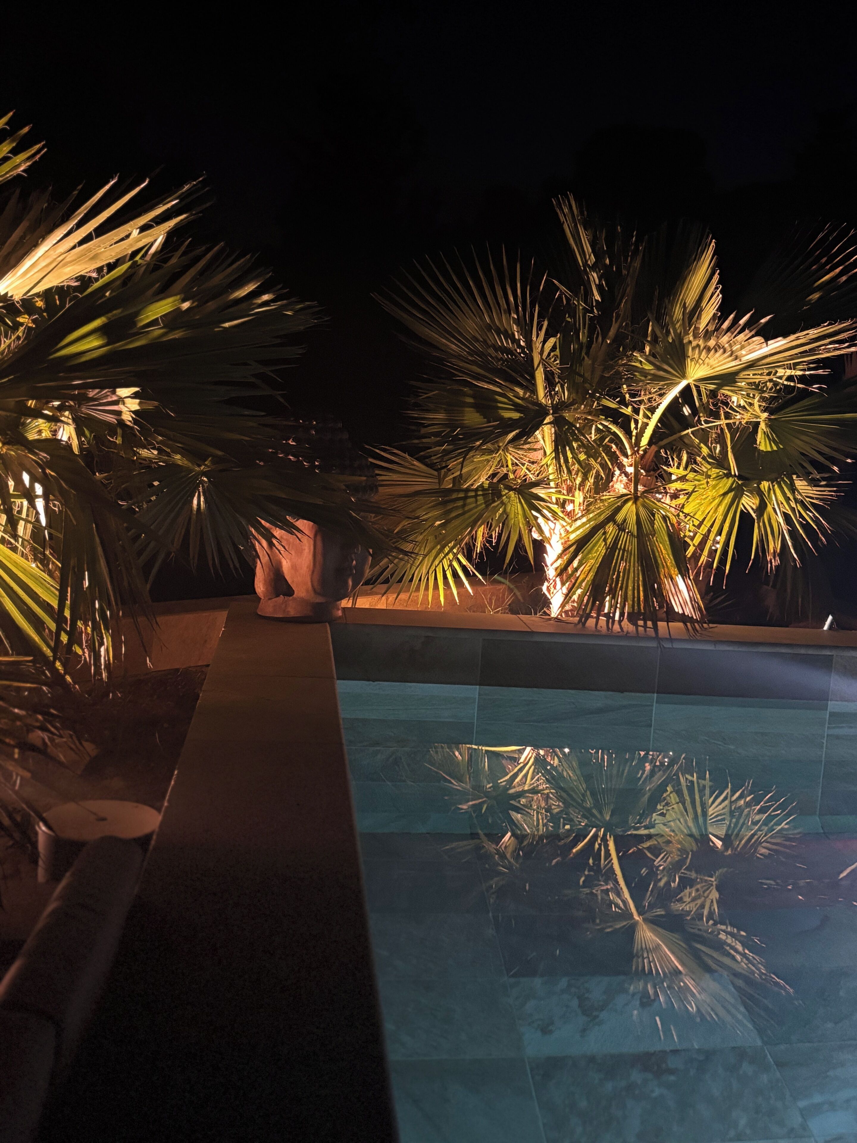 Un espace piscine aménagé pour la nuit, avec des palmiers et un chemin en pierre.