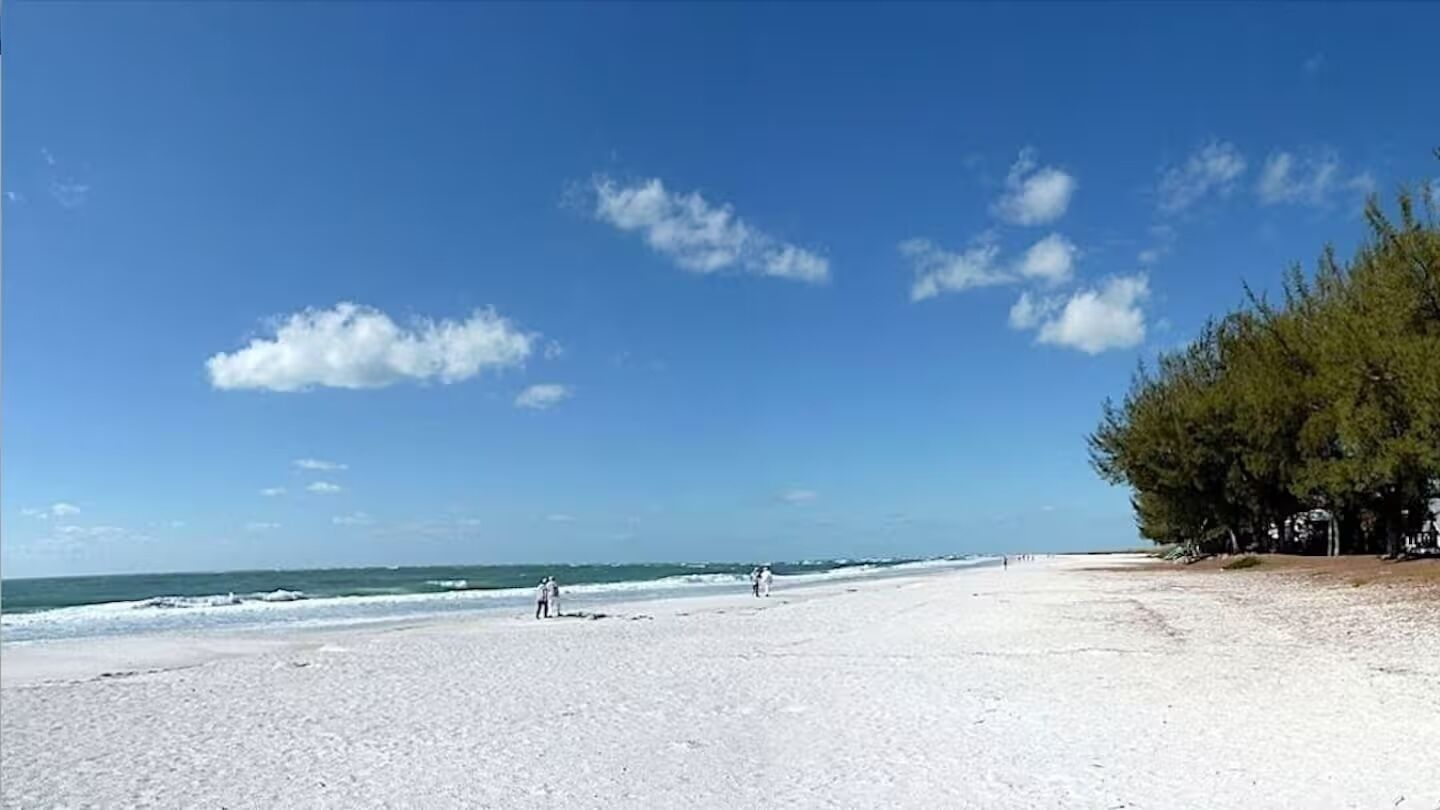 Una spiaggia con cielo sereno, alcune persone e una fila di alberi.