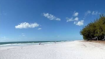 Una spiaggia con cielo sereno, alcune persone e una fila di alberi.