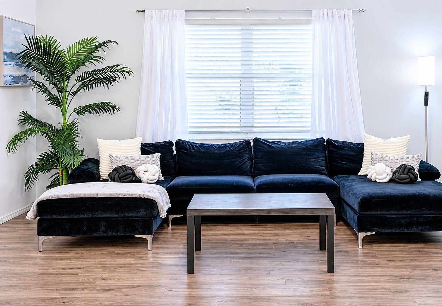 Ein modernes Wohnzimmer mit einem dunkelblauen Ecksofa, einem Holztisch und einer großen Topfpflanze.