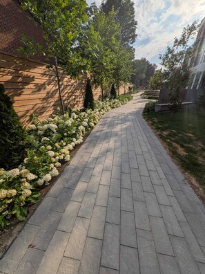 A paved pathway lined with white hydrangea bushes and trees, leading to a building with a brick facade.