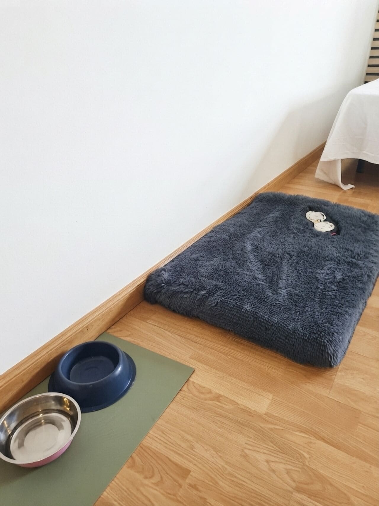Pet-friendly