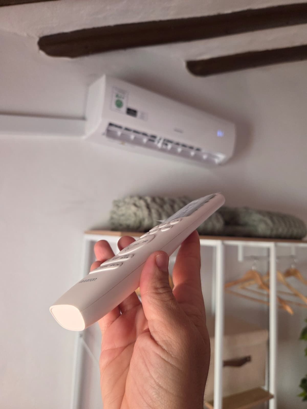 Una mano sosteniendo un control remoto.