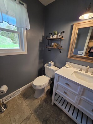 A bathroom with a toilet, sink, vanity, and a window with a view of greenery. - Large brick home centrally located in Limestone. (Limestone)