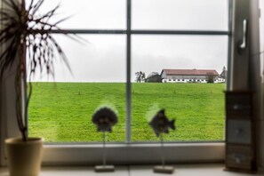 En vy genom ett fönster med en grön äng, en byggnad och en växt i förgrunden.