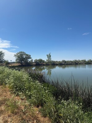 Miscellaneous - Rv spot in a grove of tress on a small lake.  (Caldwell)