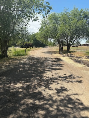 Miscellaneous - Rv spot in a grove of tress on a small lake.  (Caldwell)