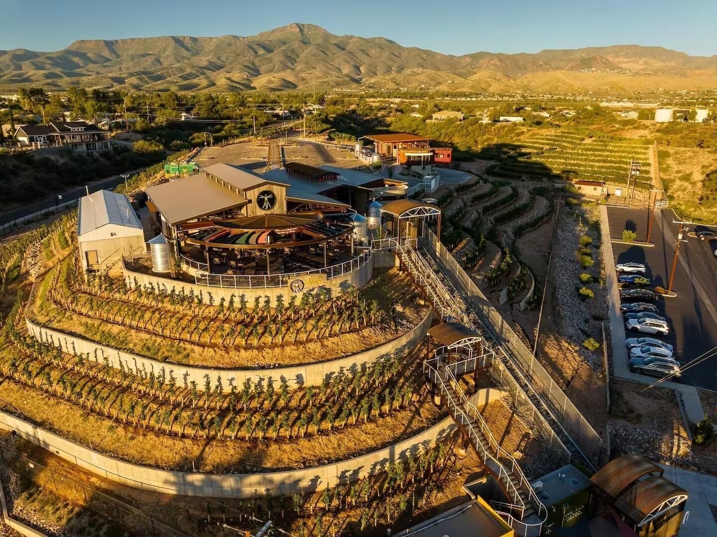 A vineyard with a circular building featuring a central clock, surrounded by rows of grapevines.