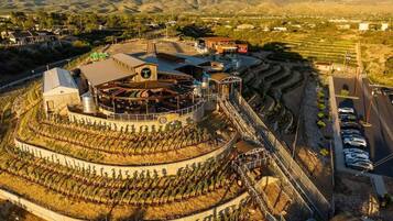 A vineyard with a circular building featuring a central clock, surrounded by rows of grapevines.