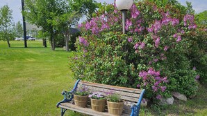 A bench with potted plants, a sign for 'Quest Motel,' and a lamp post. - Quest Motel (Whitewood)