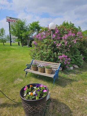Property grounds - Quest Motel (Whitewood)