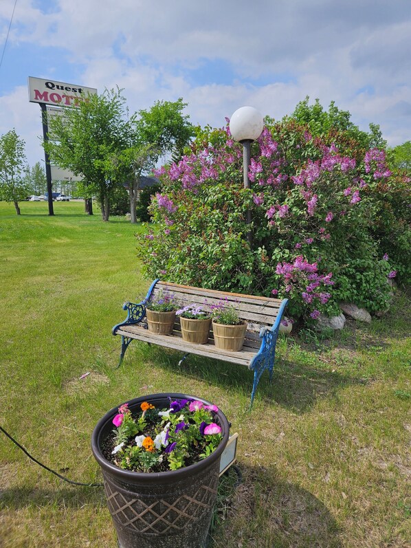 A bench with potted plants, a sign for 'Quest Motel,' and a lamp post.