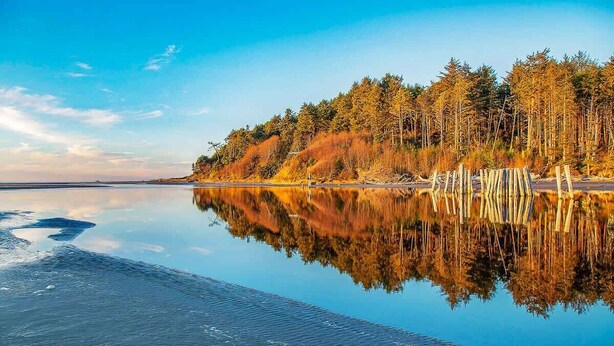 Ein ruhiger See mit bewaldeter Uferlinie und einem klaren Spiegelbild.