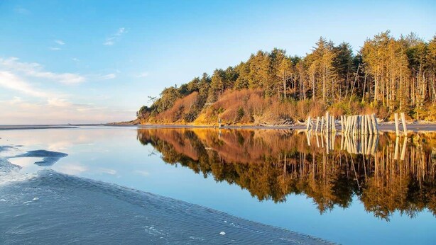 En stilla sjö med en skogbeklädd strand och en tydlig spegelbild.