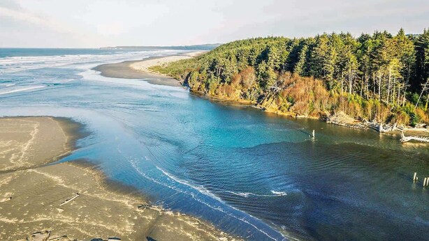 En flod der snor sig gennem et skovområde, med en sandstrand på den ene side.