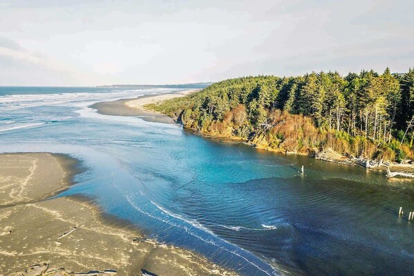 A river flowing through a forested area with a sandy beach on one side.
