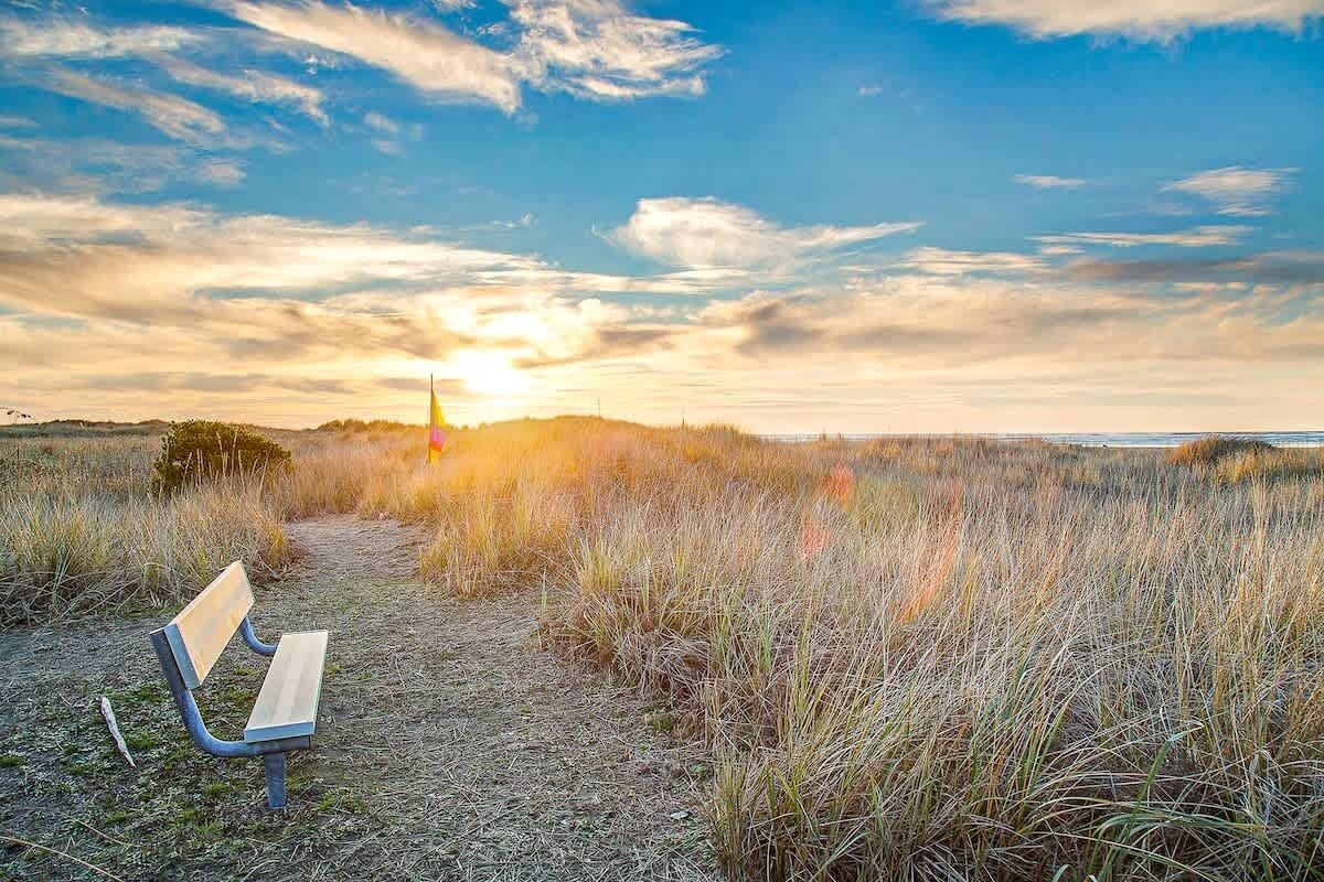 Een bankje in een natuurlijke omgeving, met een pad dat naar een verre horizon leidt.