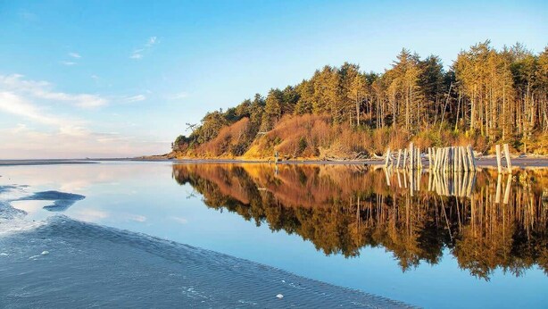 Un lac paisible, bordé d’une forêt, dont les eaux reflètent clairement le paysage.