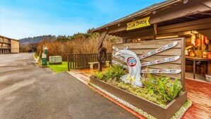 Un bâtiment en bois sur lequel est apposée une enseigne indiquant « Clam Shack », et une sculpture en bois représentant un poisson équipé de skis.