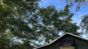 A green house with a white door, a small porch, and a number sign '7201' in front. - Cozy 1-bedroom cottage in lovely Rocky Mount with AC (Rocky Mount)