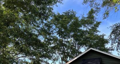 Cozy 1-bedroom cottage in lovely Rocky Mount with AC