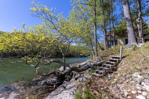 Un paysage naturel avec une rivière, des arbres et un escalier en bois qui descend vers l’eau.