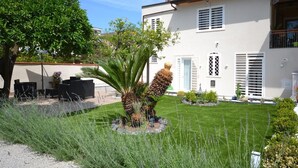 A house with a well-maintained lawn, a patio with outdoor furniture, and a variety of plants. - Petra Lavea (Pompei)