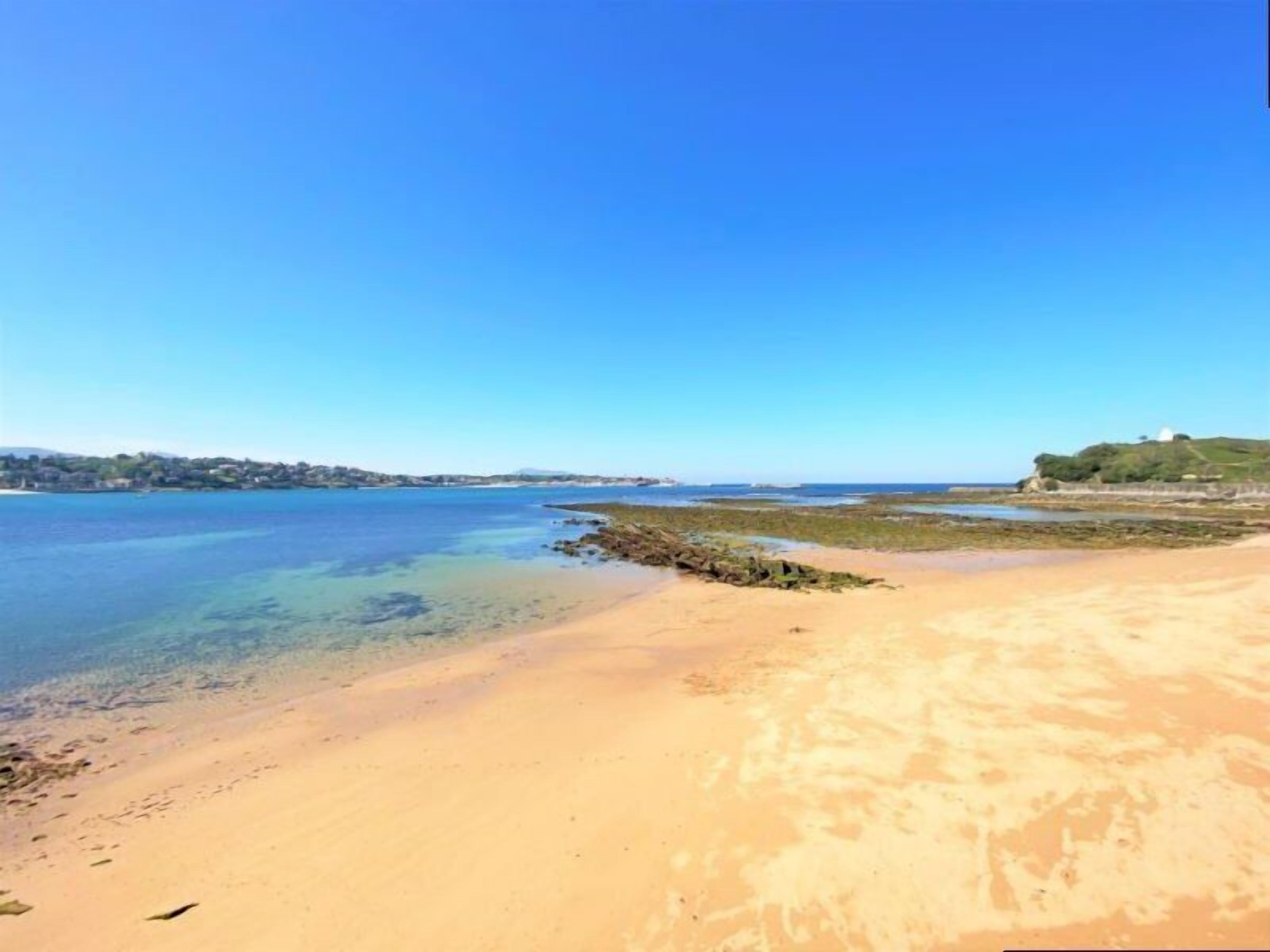 Ein Strand mit klarem Wasser, sandigem Ufer und einer entfernten Hügelkette.