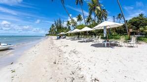A beach with palm trees, umbrellas, and lounge chairs. - Eco Resort Apartment - Carneiros Beach (Tamandaré)