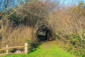A narrow pathway surrounded by dense shrubbery and trees, leading to a wooden gate.