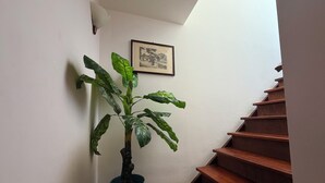 Una escalera de madera con un macetero y una planta de hojas anchas.
