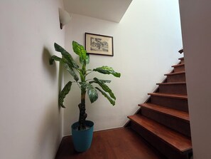 A staircase with wooden steps and a potted plant with broad leaves. - Sea view terrace (Siracusa)