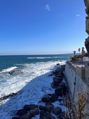 A coastal view with a stone wall and palm trees. - Sea view terrace (Siracusa)