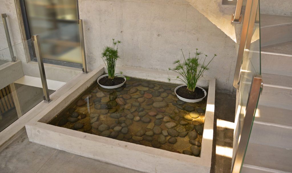 Une petite fontaine décorative agrémentée de deux plantes en pot, le tout entouré d’une bordure en pierre.