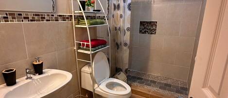 Hair dryer, bidet, towels, soap