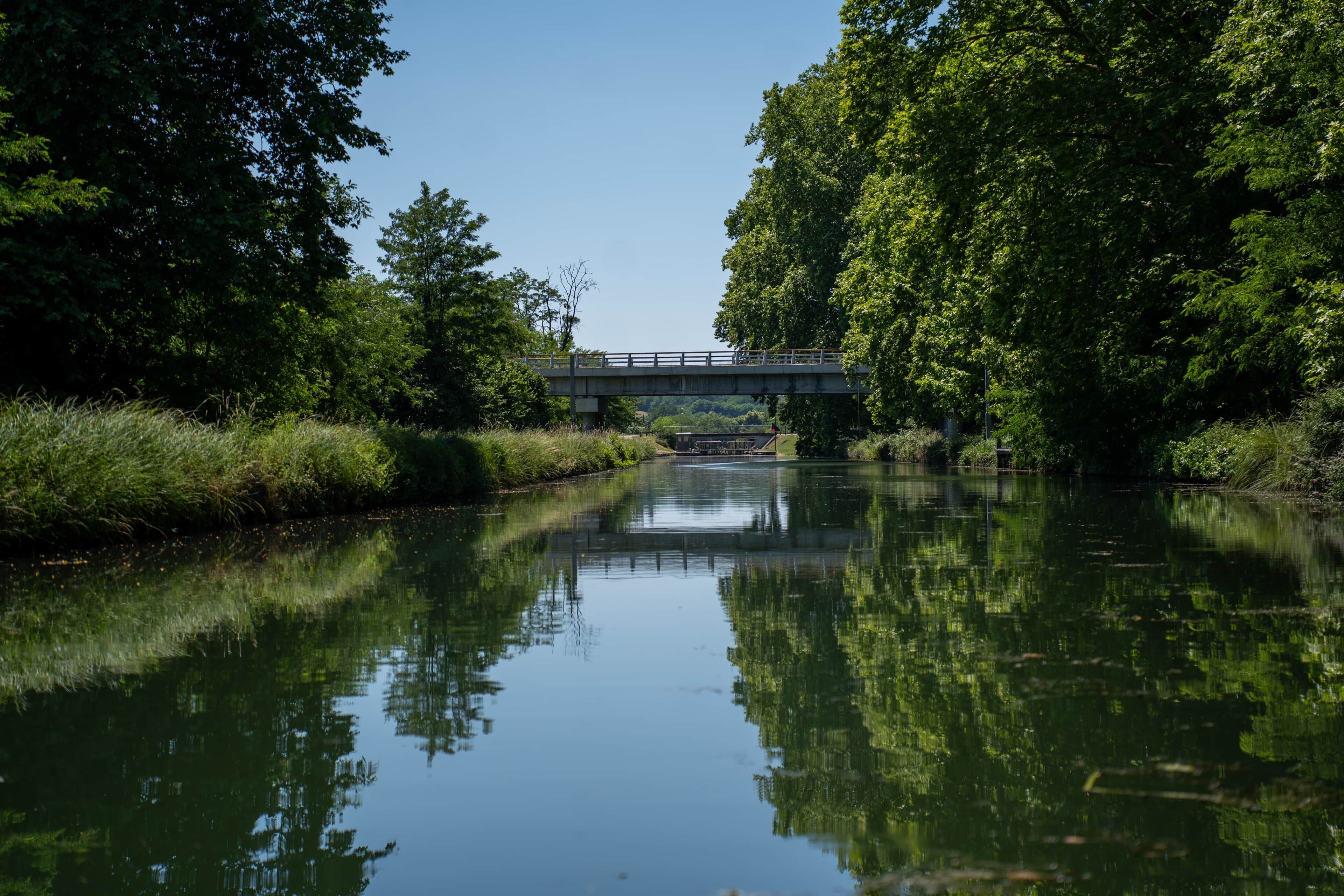 Un río tranquilo con un puente, rodeado de abundante vegetación.