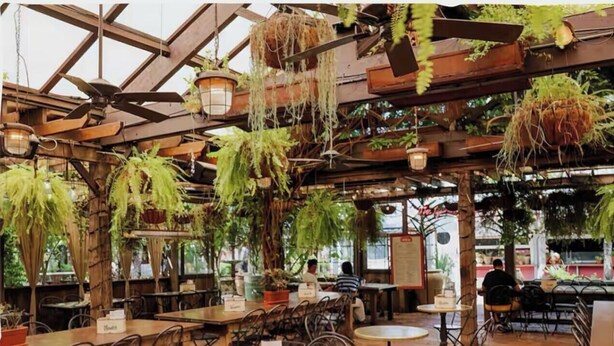 An indoor dining area with wooden beams, hanging plants, and tables and chairs. - Designer 1BR Apt | Rooftop Oasis & Fast CBD Access (Rosebery)